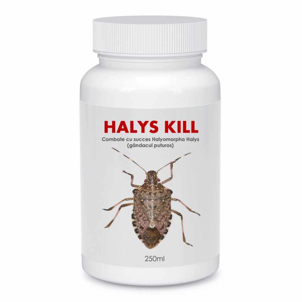 Insecticid organic de contact si repelent impotriva gandacului puturos Halys Kill 250 ml SemPlus